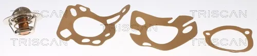 Termostat Renault Safrane I