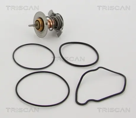 Termostat 862011792 Triscan