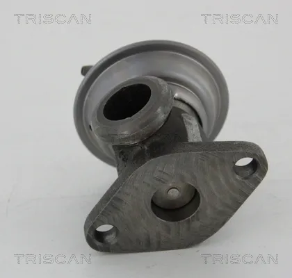 Zawór recyrkulacji spalin EGR 881329011 Triscan