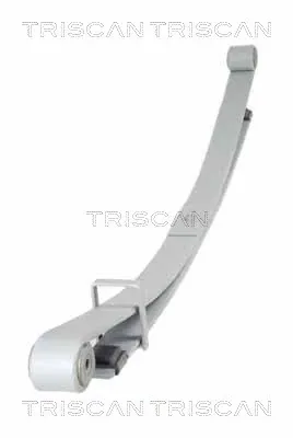 Resor tylny 93168809 General Motors
