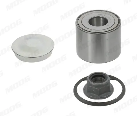 Tarcza hamulcowa tylna Renault Scenic I