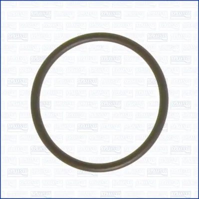 O-ring do separatora gazu w skrzyni korbowej 16023100 Ajusa