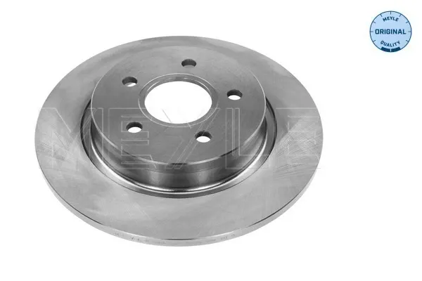 Tarcza hamulcowa tylna Ford Focus II