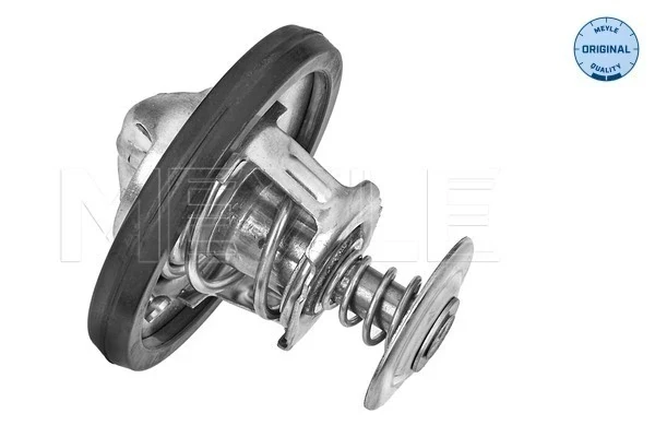 Termostat Ford Transit