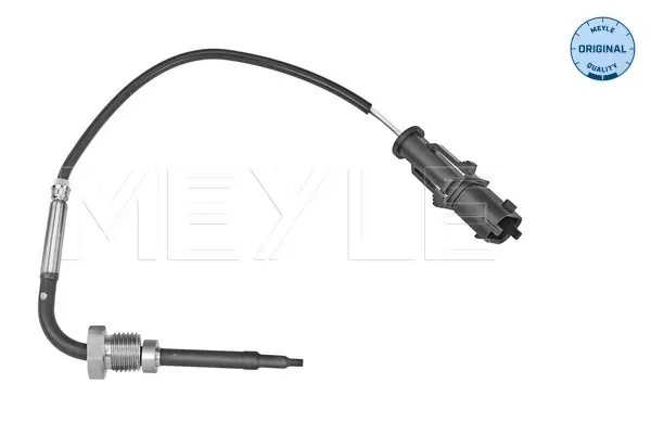 Czujnik temperatury spalin, w katalizatorze 855632 General Motors