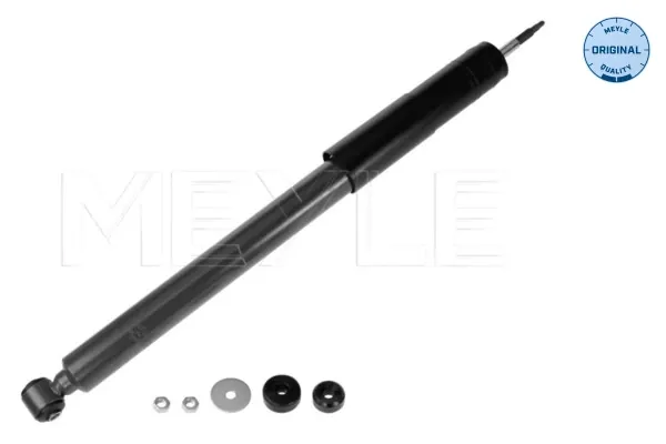 Amortyzator tylny BNE6918 Bilstein