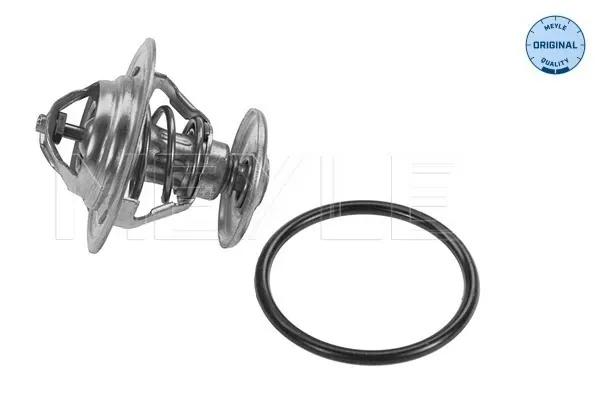 Termostat Skoda Octavia cena, od