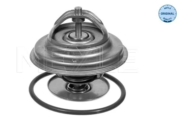 Termostat Mercedes E W123