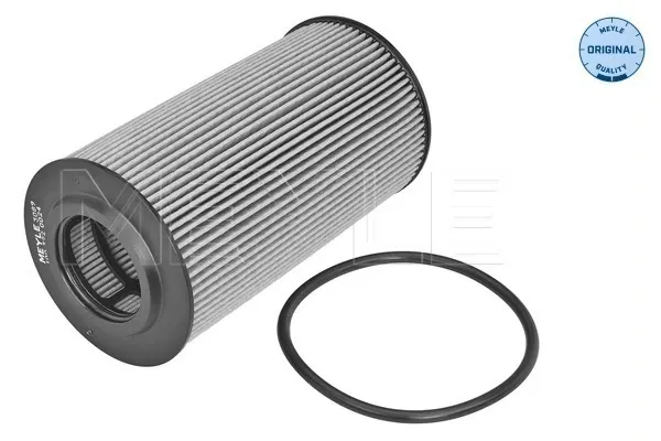 Filtr oleju 1682954880 Peugeot/Citroen