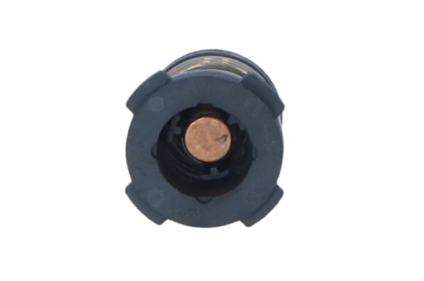 Termostat Skoda KAMIQ