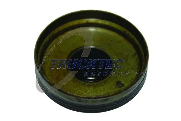Zaślepka głowicy cylindrów/bloku cylindrów 0210086 Trucktec