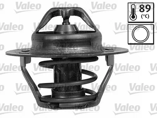 Termostat 820025 VALEO