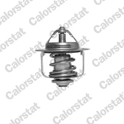 Termostat TH685889J Vernet