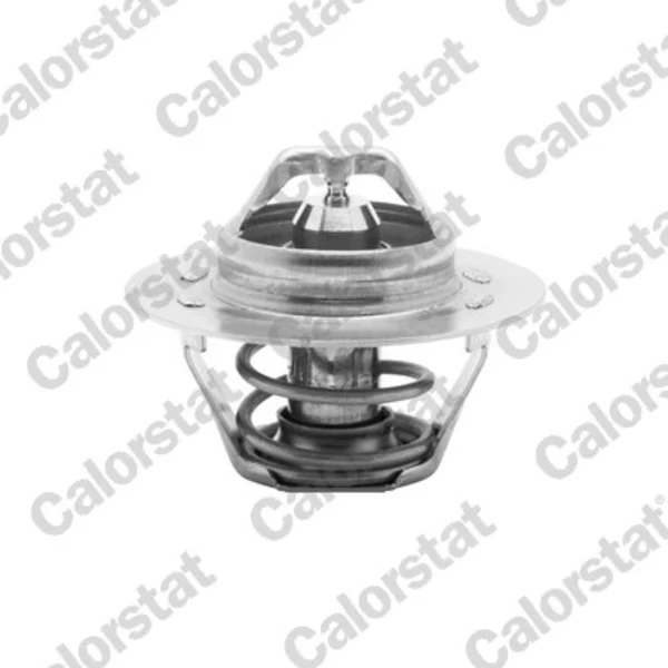 Termostat Citroen ZX