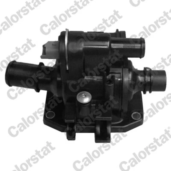 Termostat Citroen C3