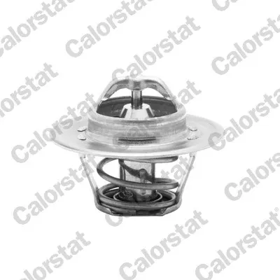 Termostat TH596282J Vernet