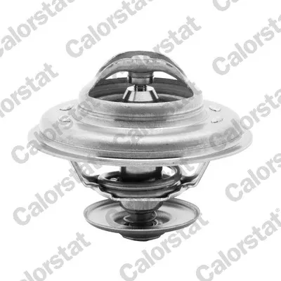 Termostat TH596887J Vernet