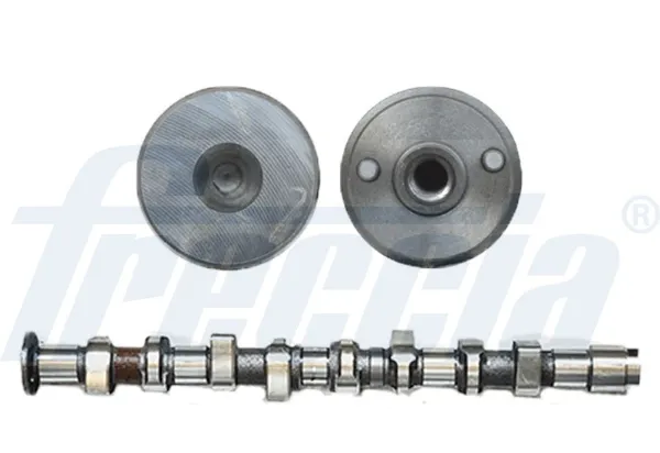 Wał rozrządu silnika ssący, dolotowy 504246094 Iveco