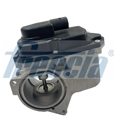 Zawór recyrkulacji spalin EGR EGR12123 Freccia