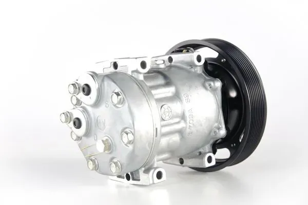 Sprężarka klimatyzacji ACP126000P Mahle Original