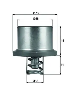 Termostat THD289 Mahle Original