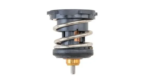 Termostat Skoda KAMIQ