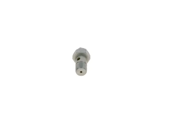  2417413101 Bosch