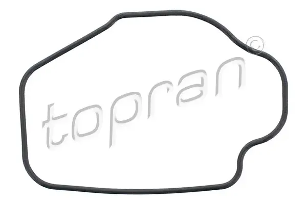 Uszczelka termostatu 202330 Hans Pries (Topran)