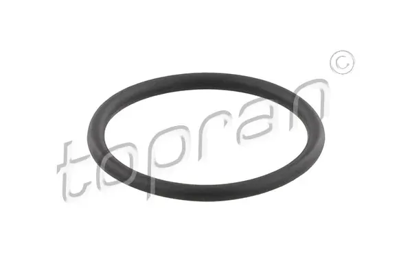 O-ring do separatora gazu w skrzyni korbowej 113185 Hans Pries (Topran)