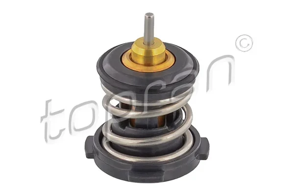 Termostat Skoda KAMIQ