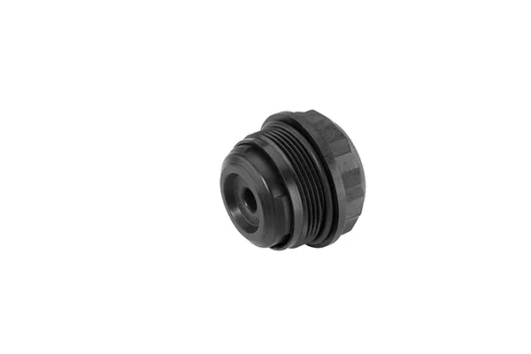 Filtr reduktora tylnego (sprzęgła Haldex) DS120359 Borg-Warner
