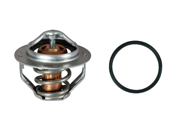 Termostat TH23582G1 Gates