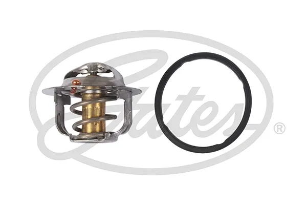 Termostat 21210AA150 Nissan/Infiniti