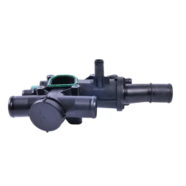Termostat Peugeot 407 SW 6E
