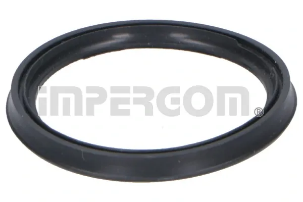 O-ring rury turbosprężarki 20289 Impergom