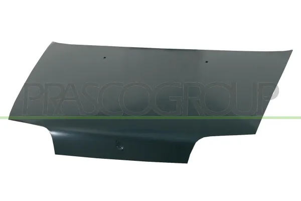 Maska silnika FT1323100 Prasco