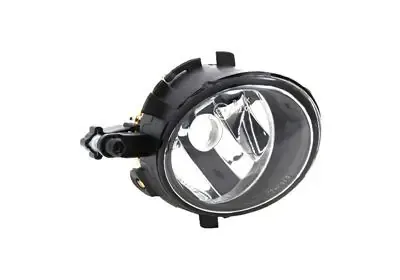 Lampa przeciwmgielna lewa 4919995 VAN Wezel