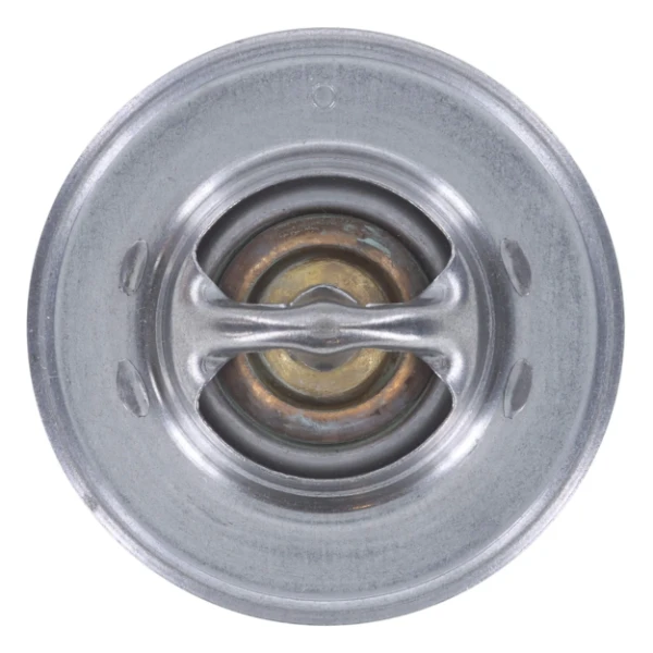 Termostat Citroen ZX