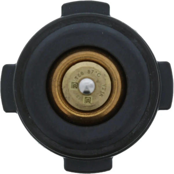 Termostat Skoda KAMIQ