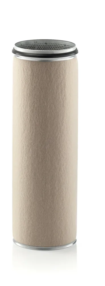 Filtr pompy powietrza wtórnego CF2100 Mann-Filter