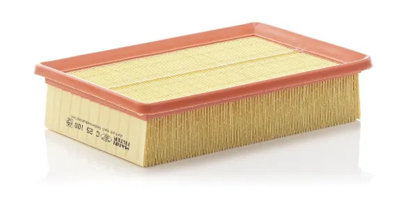Filtr powietrza C25100 Mann-Filter