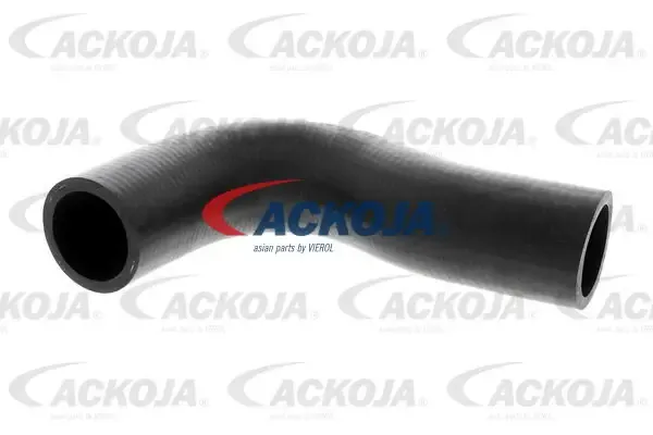 Przewód (króciec) chłodnicy górny A511602 Ackojap