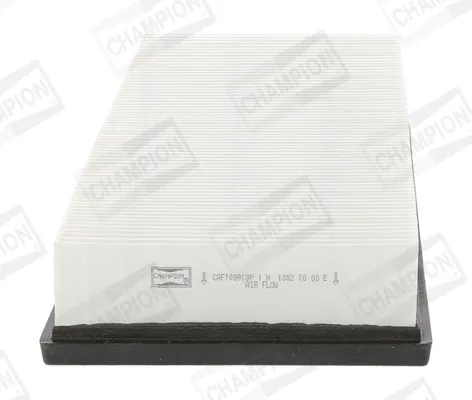 Filtr powietrza Nissan Qashqai cena, od