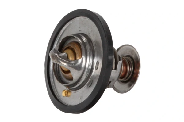 Termostat Ford Transit