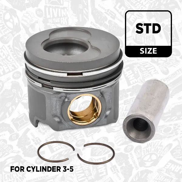 Tłok, komplet do jednego cylindru, STD Volkswagen Touareg I