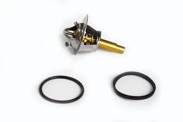 Termostat 73688 Asam