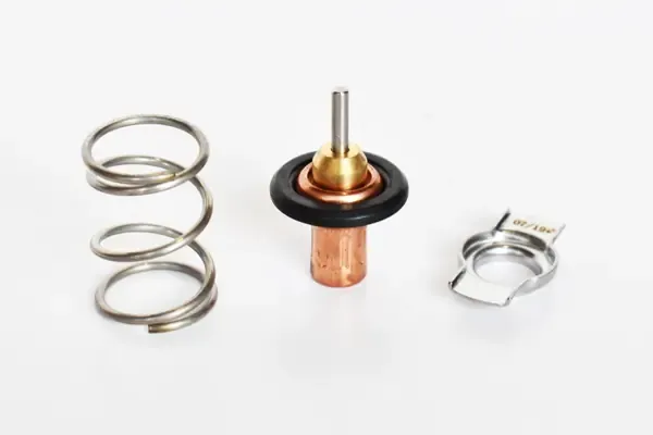 Obudowa termostatu 75202 Asam