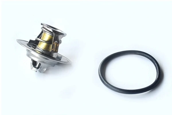 Termostat Citroen ZX