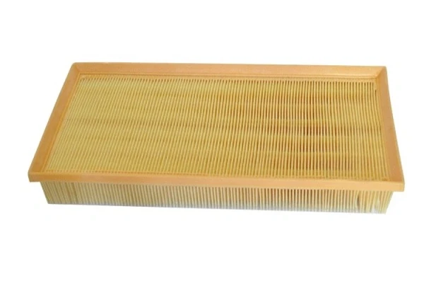 70317 Asam filtr powietrza