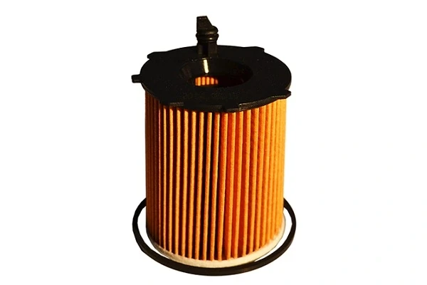 30551 Asam filtr oleju